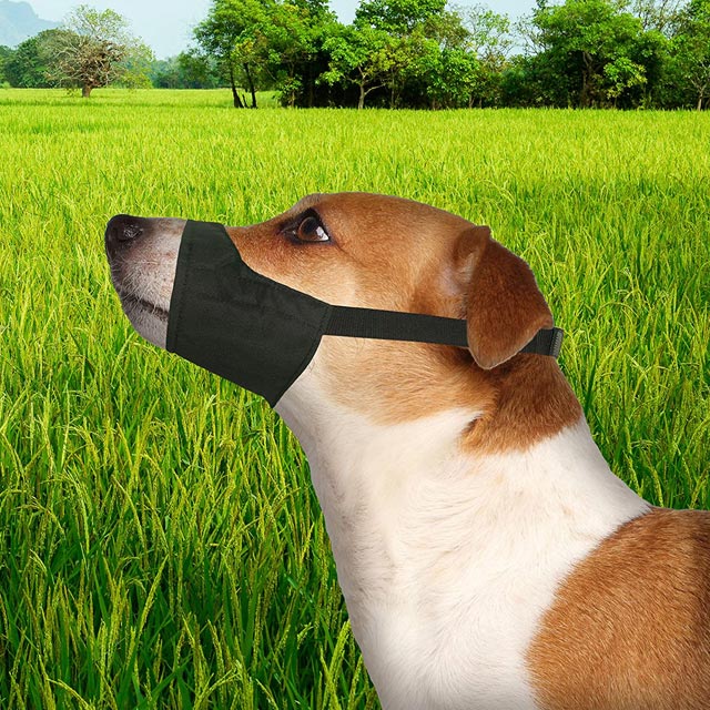 Four Paws Walk-About Quick-Fit Muzzle XS - Image 4