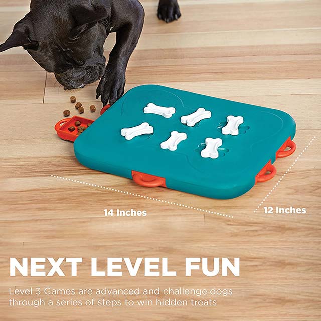 Outward Hound Dog Casino - Image 5