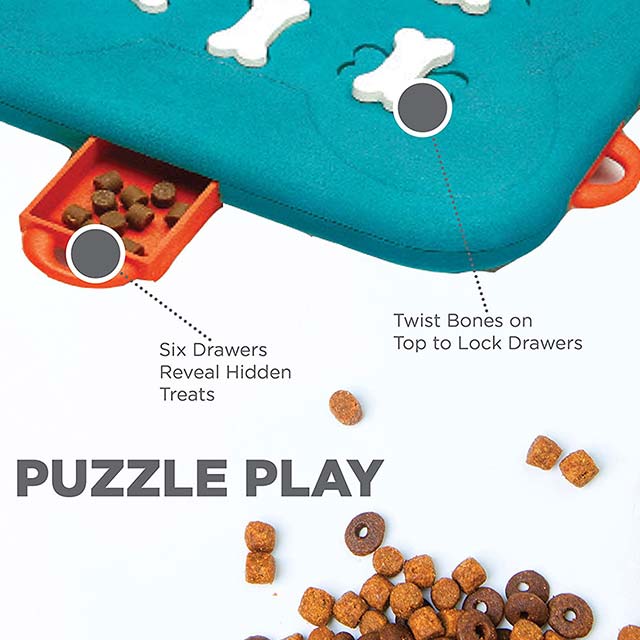 Outward Hound Dog Casino - Image 4