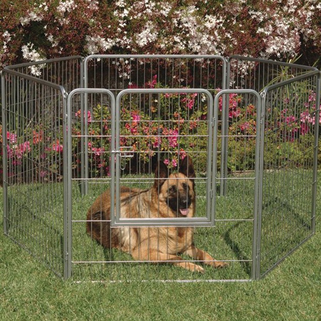 Precision Courtyard Dog Kennel - Image 3