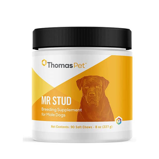 ThomasLab Mr Stud - Image 2