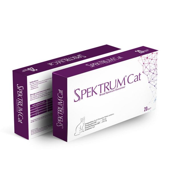 Spektrum Cat